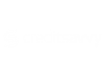 Credit Savvy logo