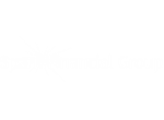 Spark Financial Group logo